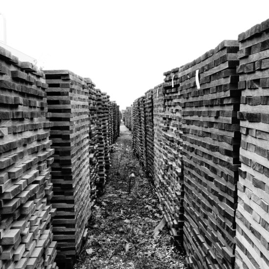 rows of wood piled in Seasoning Yard